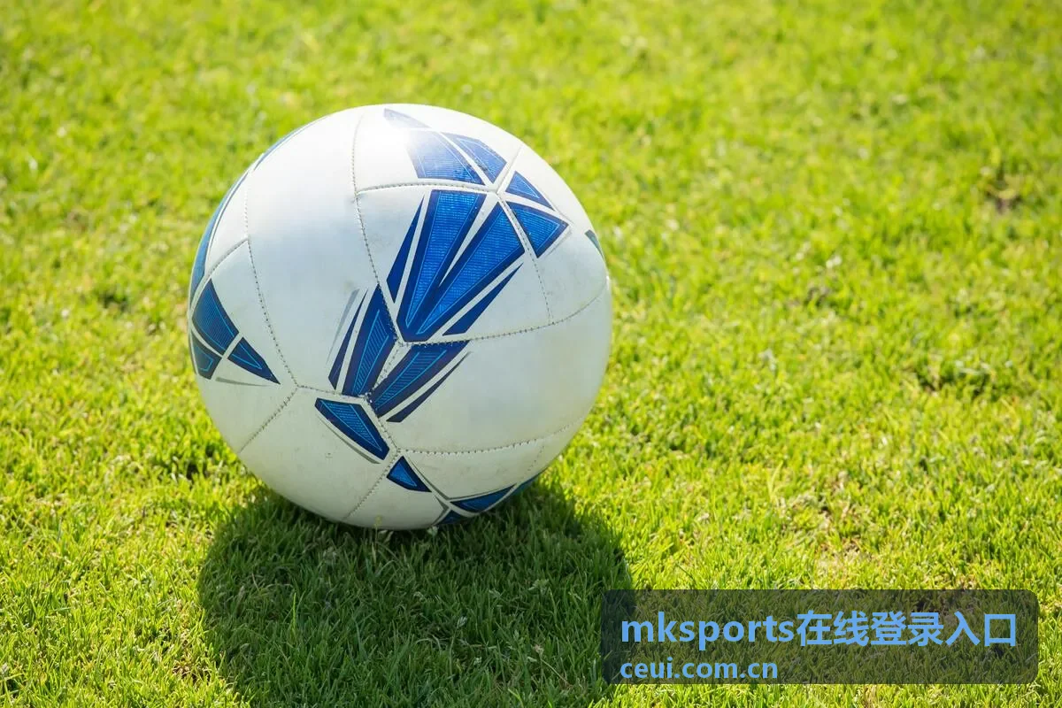 mksports在线登录入口使用反馈用户头像